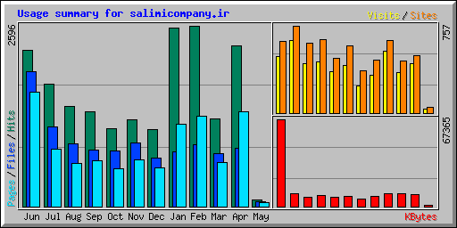 Usage summary for salimicompany.ir
